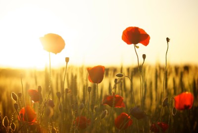 Edison e AFORISMA: insieme per lo sviluppo sostenibile della Puglia