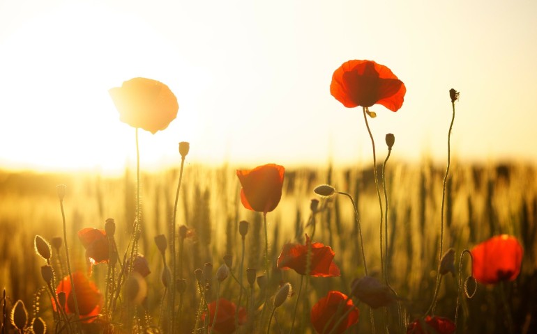 Edison e AFORISMA: insieme per lo sviluppo sostenibile della Puglia